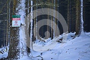 Forest danger sign mountain bike trail strictly no walkers on fir tree trunk in amazing winter snowy Ticknock