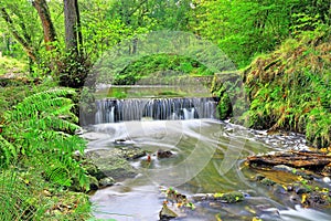 Forest Of Dean Waterfall