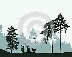 Forest with deer and flying birds