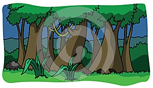 Forest with Dense Trees Color Illustration Design