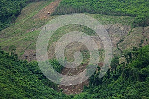 Forest destroyed on mountain ,invaded by humans,Invade the fores photo