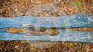 Forest detail background closeup old rotten bench