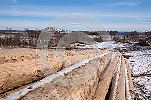 Forest dieback, cleared forest in Germany