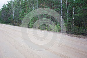 Forest dirt muddy road. Sandy country road in wood