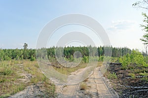 Forest dirt road in central Russia.