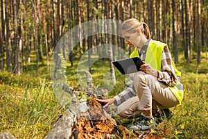 forest ecosystem. forestry worker inspecting old fallen tree, forester at work