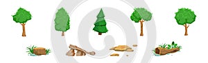 Forest Element and Outdoor Environment Object Vector Set