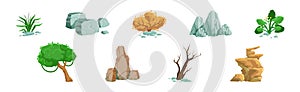 Forest Element and Outdoor Environment Object Vector Set