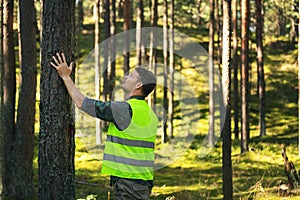 Les inženýrství a řízení obnovitelný zdroje lesník z strom 