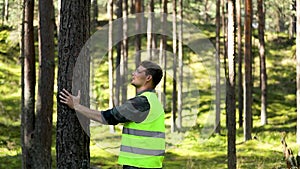 Forest engineering and management, renewable resources - forester inspecting quality of pine tree