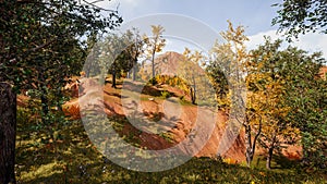 Forest environment in autumn. 3d rendering