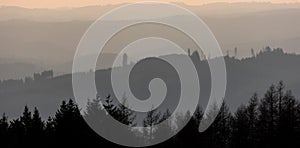 forest evening hills panorama