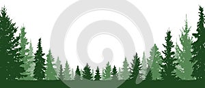 Forest evergreen, coniferous trees, silhouette vector background.