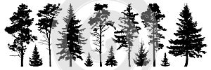 Forest evergreen trees silhouette isolated set photo