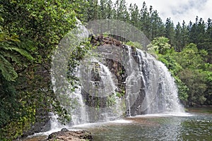 Forest falls of the mac mac river in the north of sabie, south africa