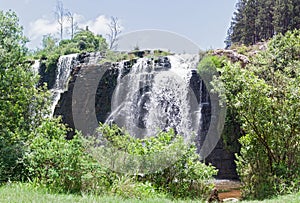 Forest falls of the mac mac river in the north of sabie, south africa