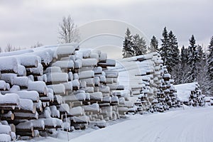 Forest felling and big stack of trees in Finland.