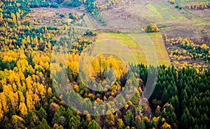 Forest and field from above