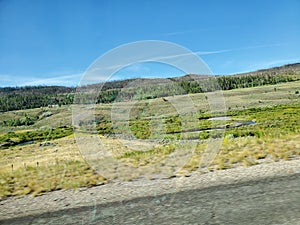 Forest field and fences stretche along the highway