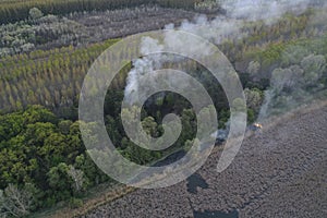 Forest and field fire. Burning of dry grass, natural disaster.