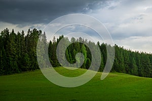 Forest, field and sky in clouds