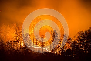 Forest fire, appalachian mountains, scenic