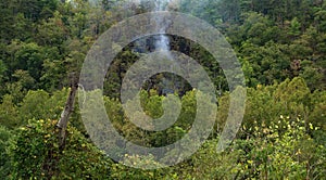 A Forest Fire on the Appalachian Trail