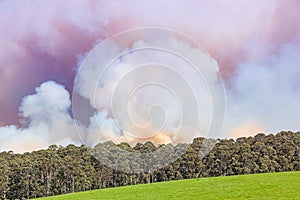 Forest Fire in Australia