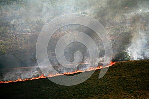 Forest fire in the Brazilian amazon