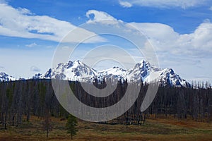 Forest Fire Burn Area - Stanley, Idaho