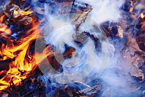 Forest fire burning. Close up of wildfire and smoke background