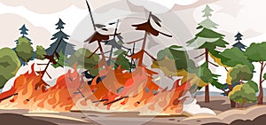 Forest fire. Burning spruces and oak trees, wood plants in flame and smoke, nature disaster cartoon illustration. Vector