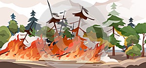 Forest fire. Burning spruces and oak trees, wood plants in flame and smoke, nature disaster cartoon illustration. Vector photo