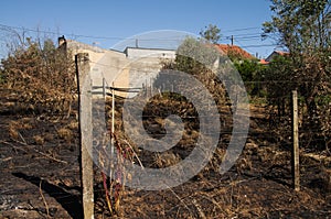 Forest fire burnt ground up to small village homes - Pedrogao Grande photo