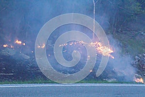 Forest Fire on Catawba Mountain