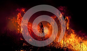 Forest Fire close to a house