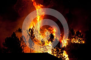 Forest Fire close to a house