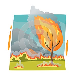 Forest Fire Composition