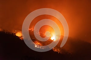 Forest fire disater problem.Fire burns trees in the mountain at night photo