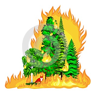 Forest Fire, fire in forest landscape damage, nature ecology disaster, hot burning trees, danger forest fire flame with