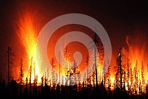 Forest fire. Forest fire in progress. Wildfire. Large flames of forest fire. Incendio forestal. Canada photo