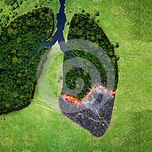 Forest and fire on a green field, top view. Trees in the form of lungs, the health of planet earth. Concept of environmental