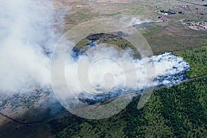 Forest fire in hot summer day, burning dry grass and trees on field, aerial view