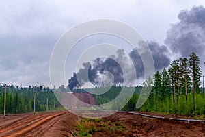 Forest fire. Illegal burn refuse, poisonous smoke, fire and fumes, clouds of toxic smoke. Smoke over forest and power plant. Air