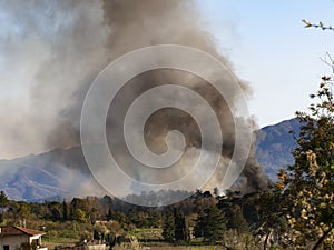 Forest on fire, Italy. Smokes billows over burning trees. Near Fornoli village, Lunigiana, March 2019. Vertical image.