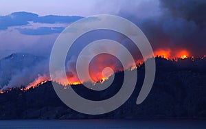 Forest Fire photo