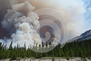 A forest fire in a national park