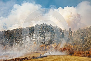 Forest fire, Nature disaster