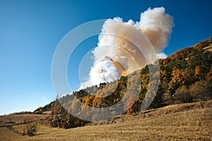 Forest fire, Nature disaster