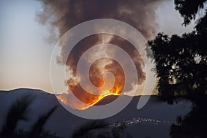 Forest fire near Bedar Village photo